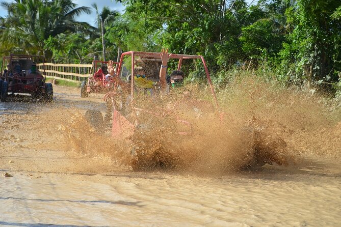 Boogies & Polaris - Explore Punta Cana in a Buggy - Choosing between the buggy and Polaris