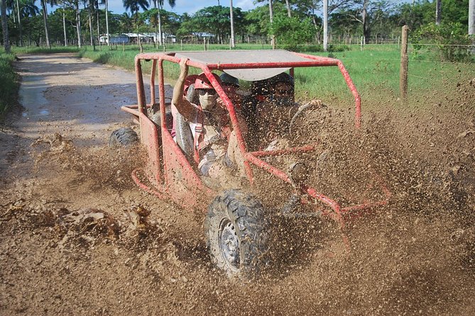 Buggies Experience From Punta Cana - Key points to know