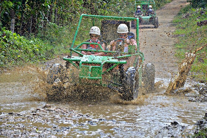Buggies Experience From Punta Cana - The long run toward Macao Beach
