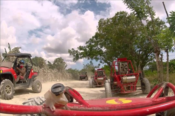 Buggies Punta Cana Macao - Key points to know before you book