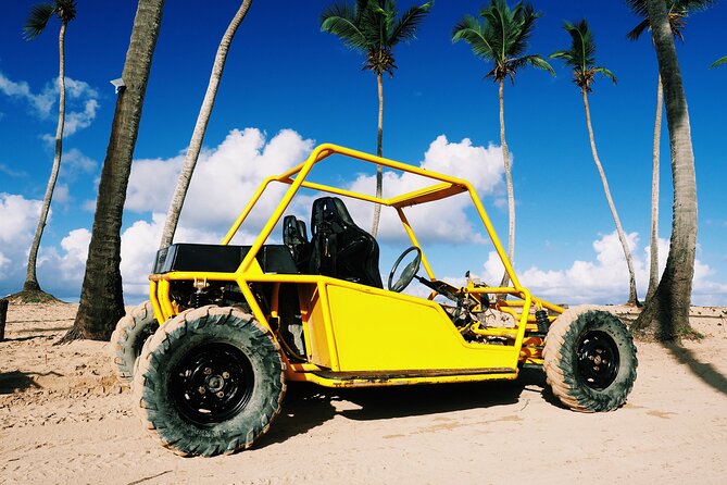 Buggy Adventure: Macao Beach & Cenote Experience - Is $60 a good value?