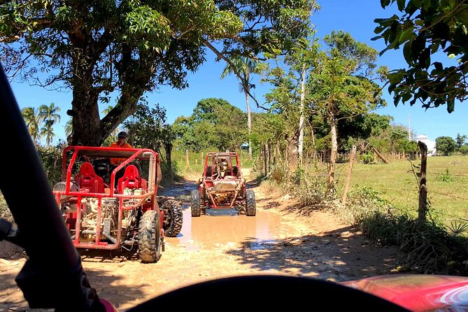Buggy Adventure: Macao Beach & Cenote Experience - Who will enjoy this Punta Cana excursion?