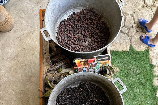 Buggy Adventure Tour with Chocolate and Coffee in Punta Cana - Quick takeaways for your Punta Cana day