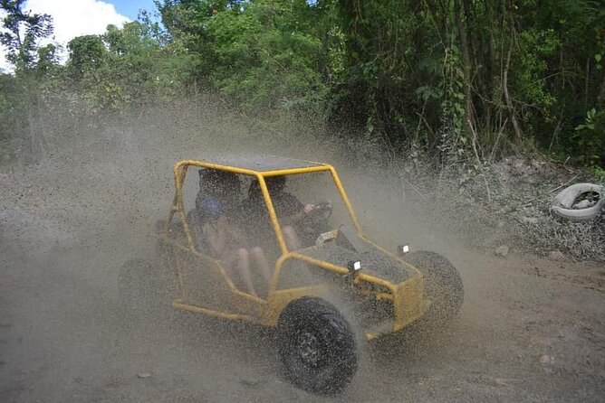 Buggy Excursion in Puerto Plata - Key points to know before booking