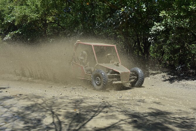 Buggy Excursion in Puerto Plata - Muñoz brings coffee and countryside views