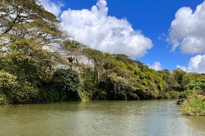 Buggy Expedition, Norwegian SKY Cruise Passenger from La Romana - The guides and the small-group feel