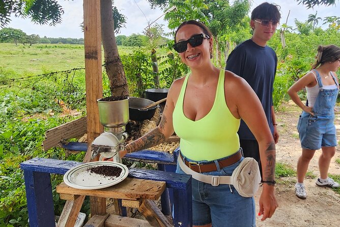 Buggy, horse and plantation ranch - Key points to know
