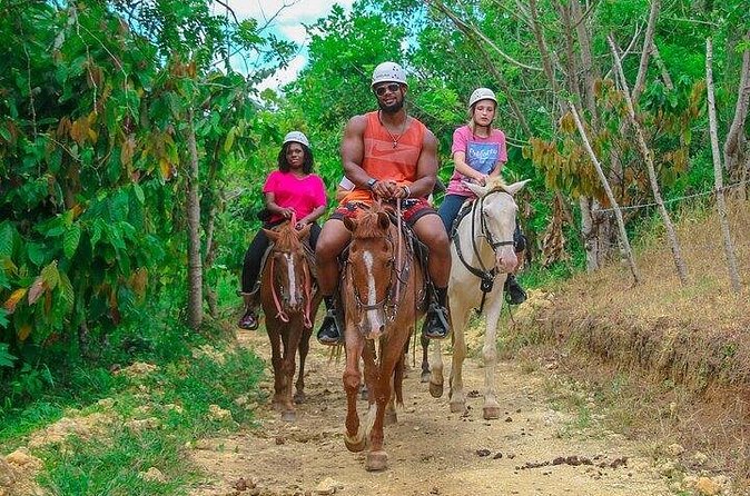 Buggy, Horse and Zip Line with Lunch included from Punta Cana - Is $99 a fair price?