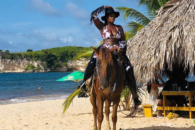 Buggy Horses and Zip Line from Punta Cana with Lunch Included - Lunch, water, and the real value of $95