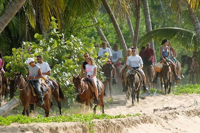 Buggy Horses and Zip Line from Punta Cana with Lunch Included - Eight zip lines near Macao Beach