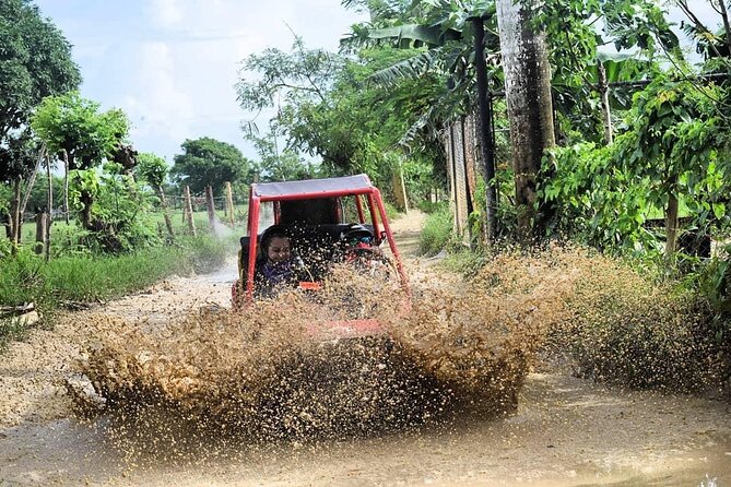 Buggy Off-Roading with Chocolate and Coffee Tasting in Punta Cana - How the $48 Price Measures Up