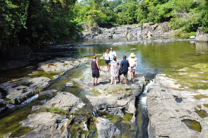 Buggy Ride, Horseback, Zipline,Eco Farm,Macao Beach - Cocoa, Coffee, and the Tobacco Stop