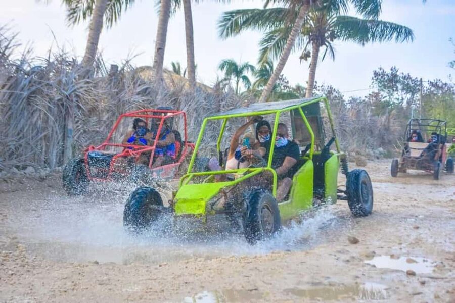 Buggy ride on rural routes and Macao Beach - Coffee, cocoa, tea, and mamajuana at a traditional house