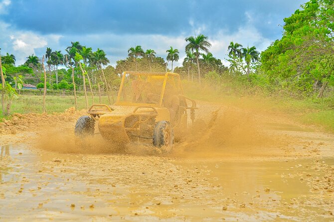 Buggy Tour in Punta Cana - Coffee, cocoa, and mamajuana along the way
