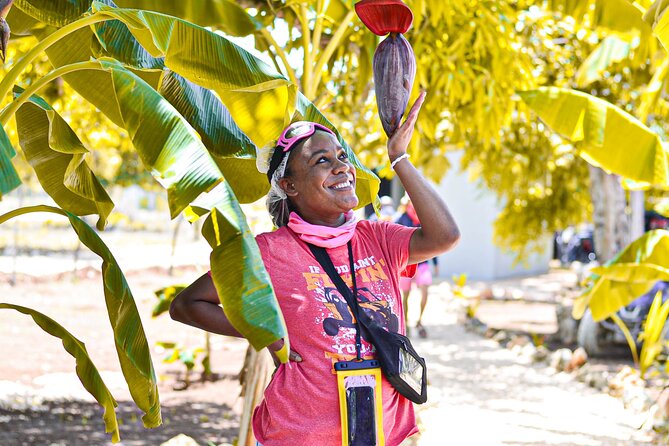 Buggy Tour Punta Cana: MagicalCaves ,Dream Beaches & Culture - The practical problem of mud