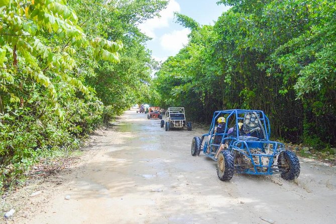 Buggys & Polaris -Best Way to Explore Punta Cana - Farm lessons from coffee to chocolate tea