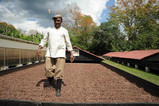 Cacao Plantation and Chocolate Factory Tour- Classic - Inside La Esmeralda Chocolate Factory