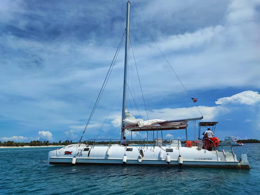 Catalina Island Comfort: Snorkeling & Catamaran Experience - Lunch and two and a half hours on Catalina Island