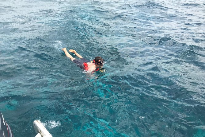 Catalina Island DayTrip + Great Snorkeling - Who will enjoy this most