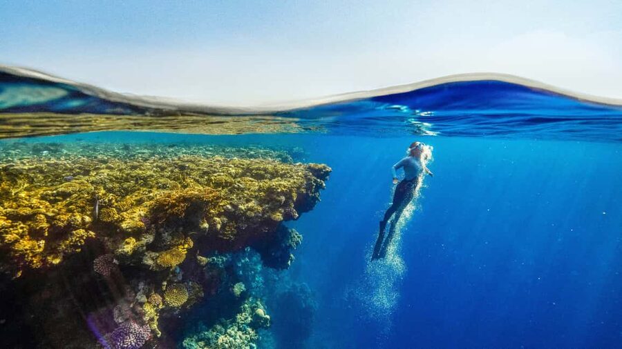 Catalina Island, even more pristine than Saona - Key points to know before booking