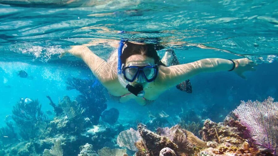 Catalina Island, even more pristine than Saona - Catalina Island from Bávaro: what the day really offers