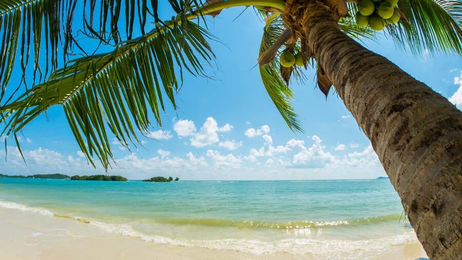 Catalina Island, even more pristine than Saona - Timing problems and how to protect your day