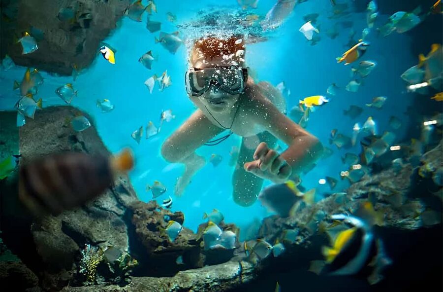 Catalina Island Full-Day Snorkeling + Lunch from Punta Cana - Key points to know before booking