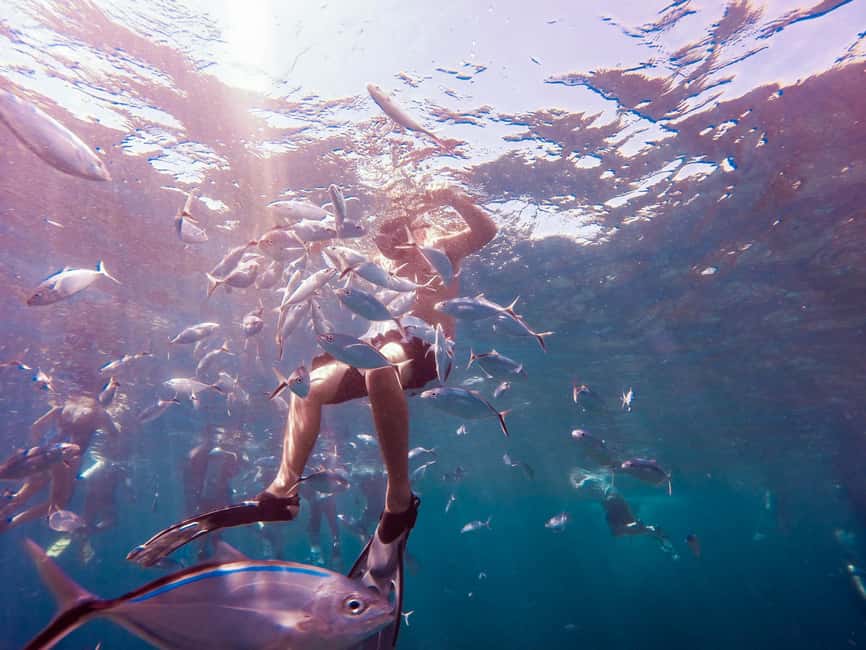 Catalina Island Full-Day Snorkeling + Lunch from Punta Cana - One hour at Los Corales reef