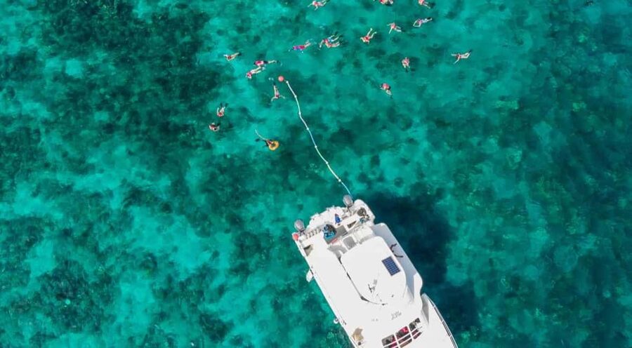 Catalina Island Full-Day Snorkeling + Lunch from Punta Cana - What the $98 price really buys