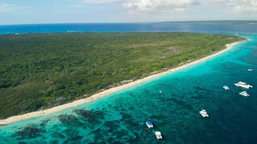 Catalina Island Full-Day Snorkeling + Lunch from Punta Cana - Practical ways to make the day better