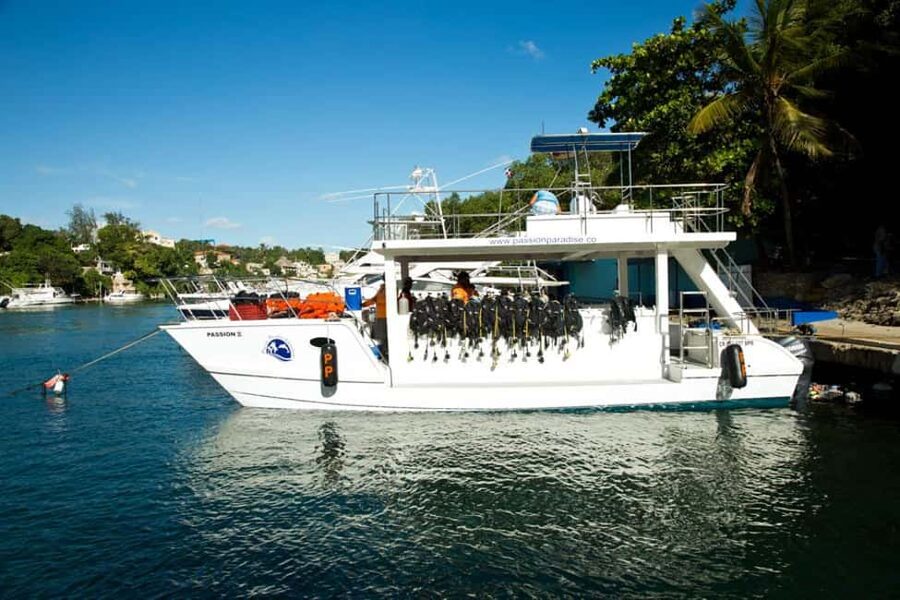 Catalina Island Scuba Diving Tour from Punta Cana - Key points to know before booking