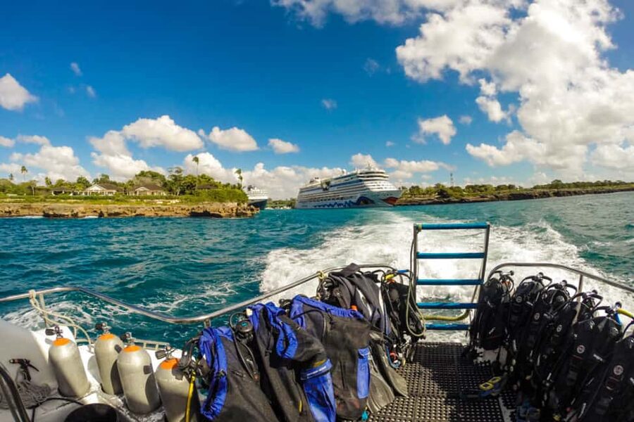 Catalina Island Scuba Diving Tour from Punta Cana - The Dominican BBQ and open bar