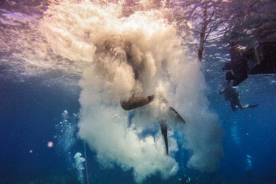 Catalina Island Scuba Diving Tour from Punta Cana - Equipment and instruction deserve careful attention