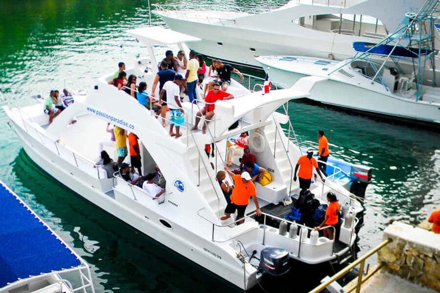 Catalina Island Scuba Diving Tour from Punta Cana - What to expect at The Wall