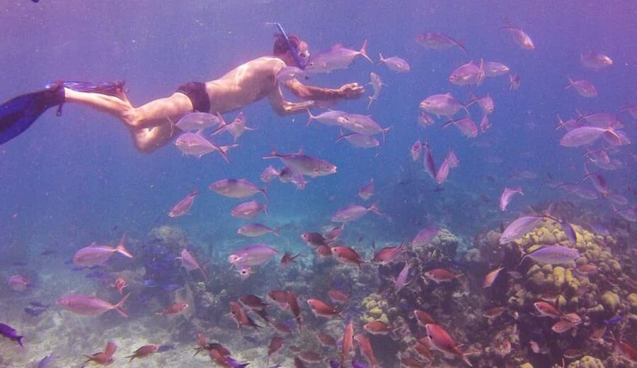 Catalina Island snorkeling Dominican Republic - Key points to know before booking