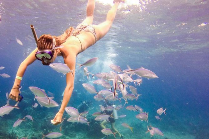 Catalina Island & Snorkeling Paradise From Punta Cana - Key points to know before booking