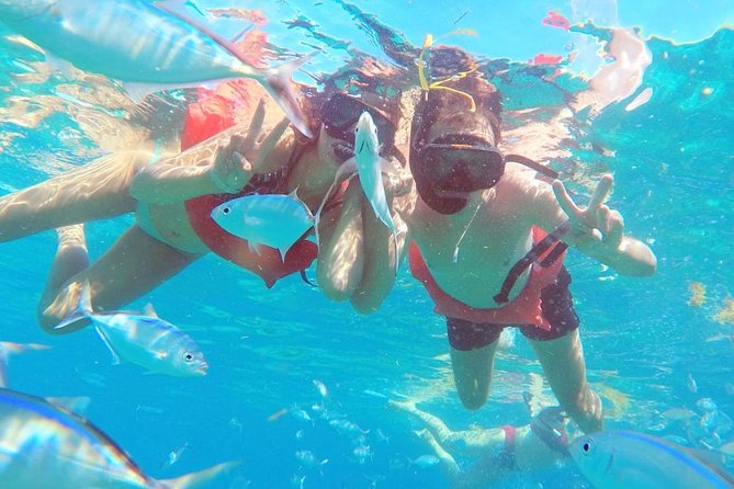 Catalina Island & Snorkeling Tour - First water stop: coral, fish, and The Wall