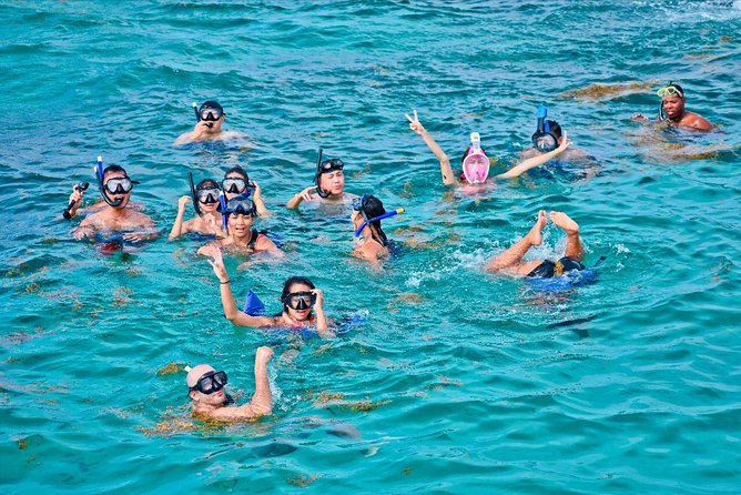 Catalina Island & Snorkling Tour Full Day All Inclusive - Key things to know before booking