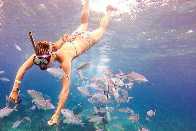 Catalina Island & Snorkling Tour Full Day All Inclusive - Early pickup from Bavaro and Punta Cana