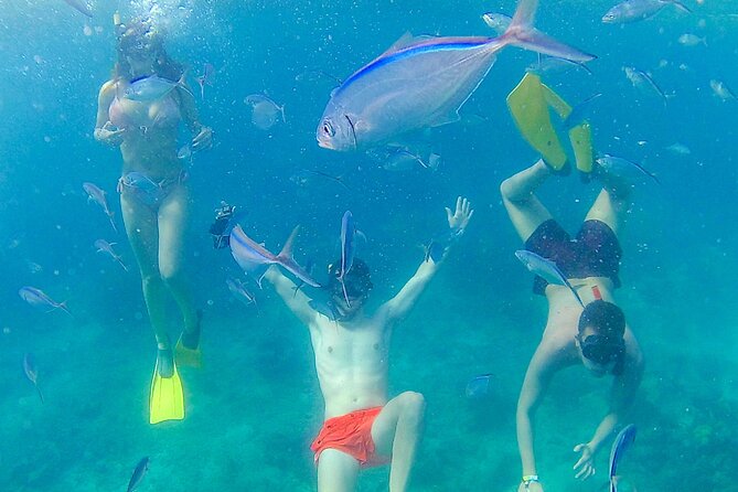 Catalina Island with Altos de Chavon - Full Day All Inclusive - What makes Catalina worth the boat ride