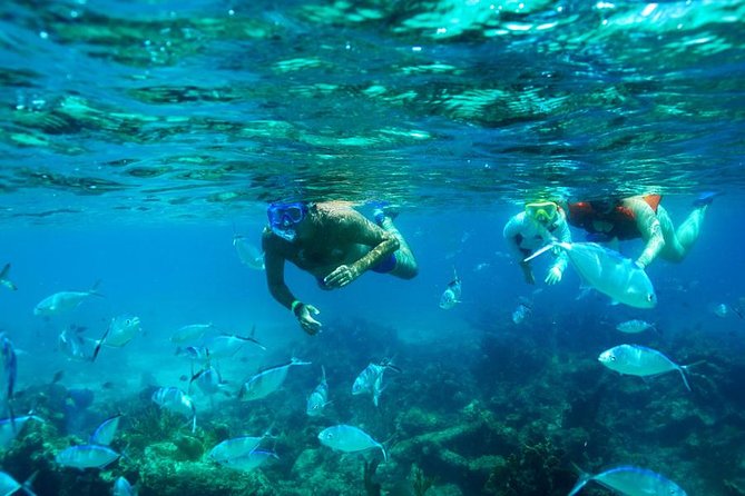 Catamaran Booze Cruise And Snorkeling Punta Cana - Adults Only - Key points at a glance
