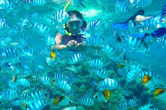 Catamaran Catalina Island Day Trip with Lunch - Booking, cancellations, and group details