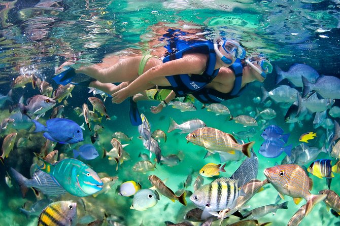 Catamaran Cruise with Snorkeling & Parasailing - The Natural Pool near Saona Island
