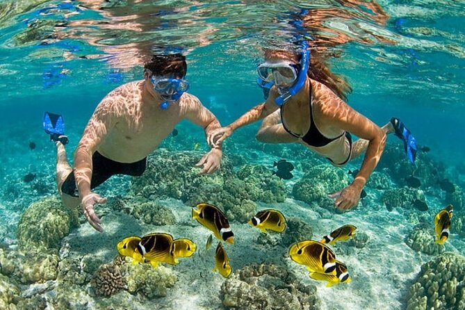 Catamaran Party in Punta Cana Includes Drink and Transportation - A four-hour party boat with a real swim stop