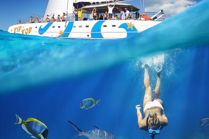 Catamaran Snorkeling All-Inclusive Day-Trip - Two snorkeling stops, with realistic expectations