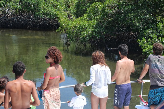 Cayo Arena Catamaran Cruise from Puerto Plata with Lunch - How the $160 price works as value