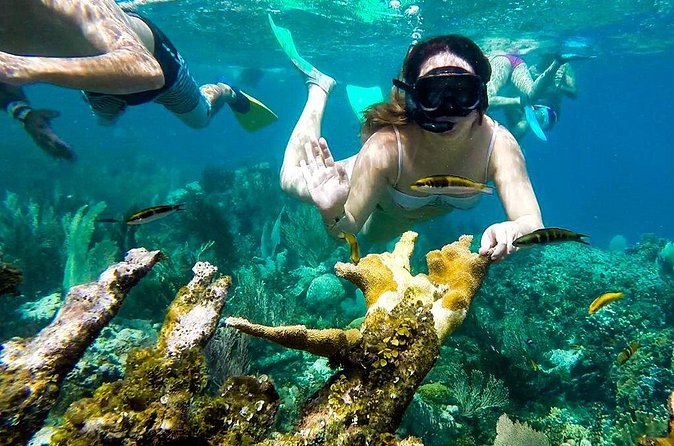 Cayo Arena Day Trip from Puerto Plata - Who should book this Cayo Arena trip?