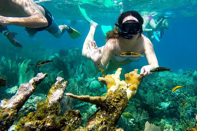 Cayo Arena Day Trip from Puerto Plata - Booking, weather, and cancellation advice