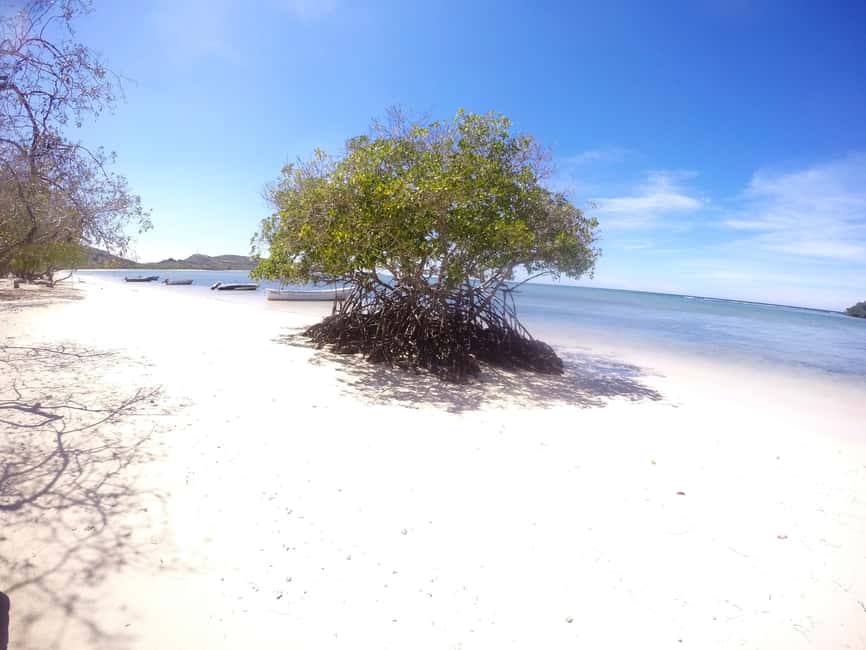 Cayo Arena: Paradise Island and Mangroves Tour - Two hours on Cayo Arena