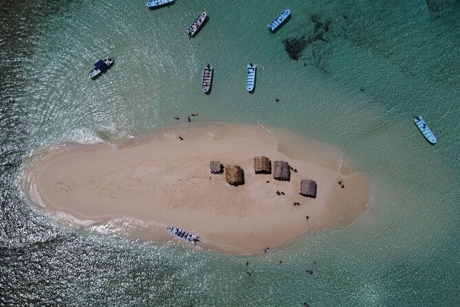 Cayo Arena, Paradise Island Tour - The mangrove ride near Paradise Island